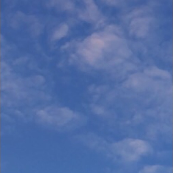 Meet your Posher, Dylan - Picture 1 of 1